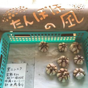 ใใใฝใฝใฎ้ขจๆ
ๅ ฑๅฑ