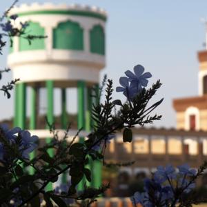 Mufti Mohammed Desai Saheb ؒ