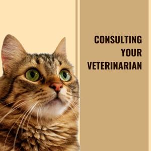 Consulting your Veterinarian
