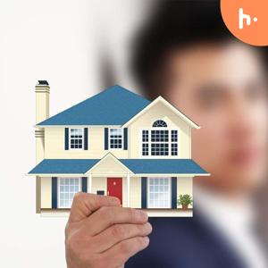 Real Estate Consultant