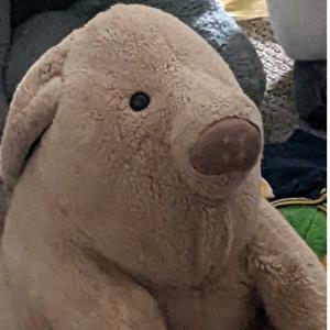 PapiSkeleton