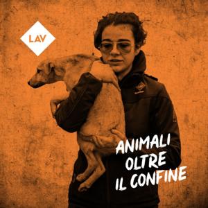 Animali oltre il confine