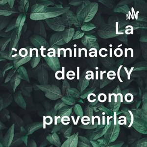La contaminación del aire(Y como prevenirla)