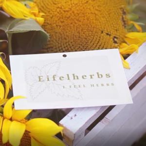 Eifelherbs - Lerne Erstaunliches über Wildpflanzen