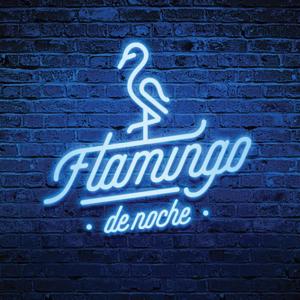Flamingo de noche