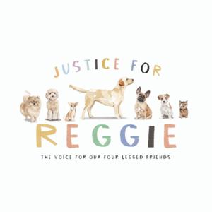 Justice For Reggie