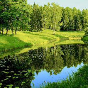 Cara Umanità- Lettere dal futuro