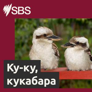 Koo-koo, kookaburra! - Ку-ку, кукабара!