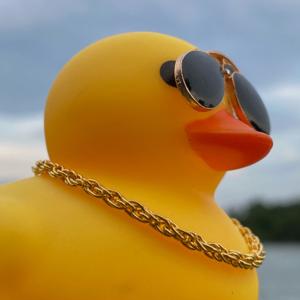 Everything is Awesome