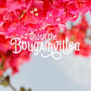 Under the Bougainvillea