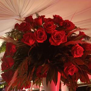 El podcast de MaC-Poemas