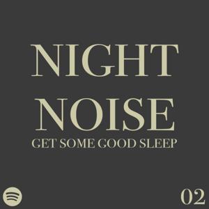 NIGHT NOISE