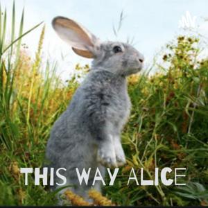 This Way Alice: The Rabbit Hole Chronicles