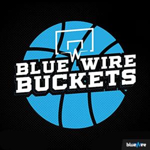 Blue Wire Buckets