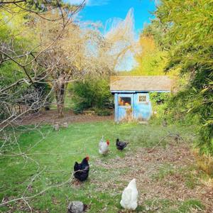 the journal of small work*