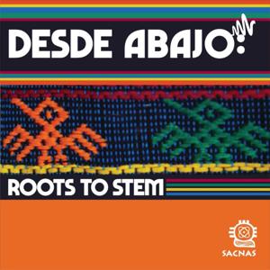 Desde Abajo: Roots to STEM