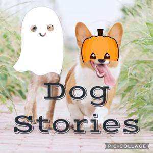 Dog Stories
