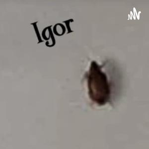 IGOR's Podcast