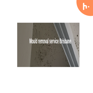 Successful and Effective Mould Removal in Brisbane