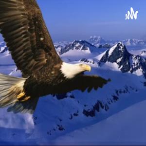 Pedagogía Liberadora.