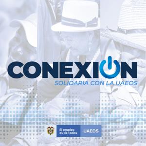 Conexión Solidaria - UAEOS