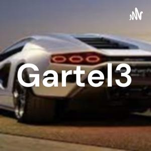 Gartel3