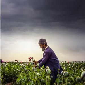 The Peacemakers of Afghanistan