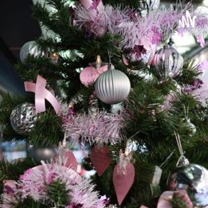 yoyo叔叔的睡前故事