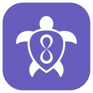 Turtle Method™ 14-Day Masterclass