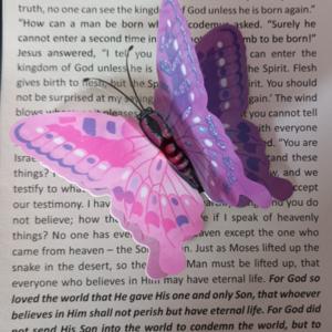 From the Heart Ministries