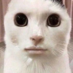 A soundtrack i want to listen to