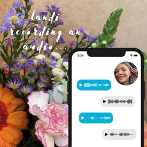 Landi Recording Audio