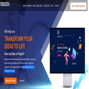 WebandSeoPro - The Art of Gaining Customers Through Web Development Skills