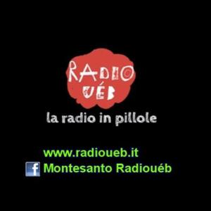 tracce di Radiouéb la radio in pillole