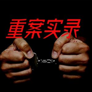 重案实录|国内重案大案合辑