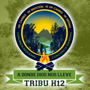 CONCIENCIA EMOCIONAL H12