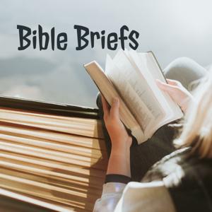 Bible Briefs