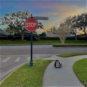 The Bus Stop
