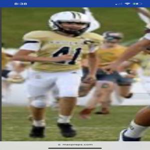 Hawk Running on a football field