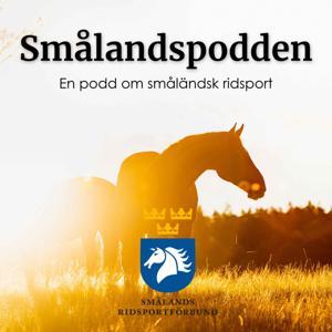 Smålandspodden