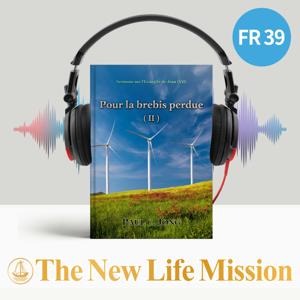 Sermons sur l’Évangile de Jean (Ⅶ) - Pour la brebis perdue (Ⅱ)