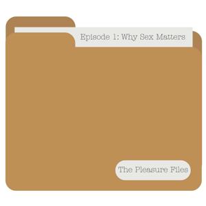 The Pleasure Files