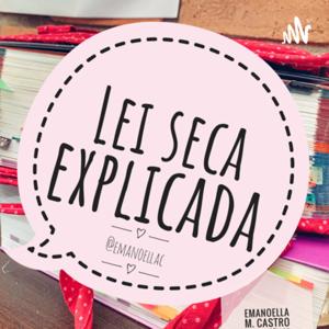 Lei seca explicada