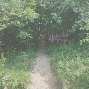 Error Jordan’s Unguided Meditations