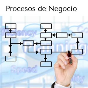 Procesos de Negocio