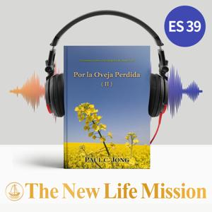 Sermones sobre el Evangelio de Juan (VII) - Por la Oveja Perdida (II)