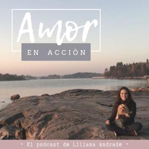 Amor en acción