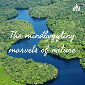 The mindboggling marvels of nature