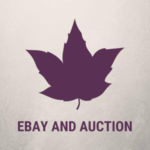 Ebay and Auction